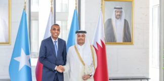 Somalia and Qatar leaders discuss security, trade and bilateral ties