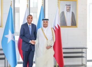 Somalia and Qatar leaders discuss security, trade and bilateral ties