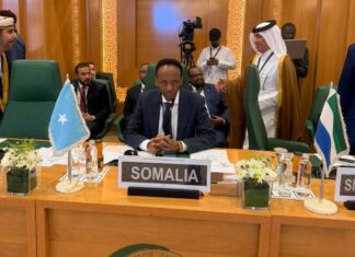 Somalia reaffirms support for Palestinians at OIC emergency meeting