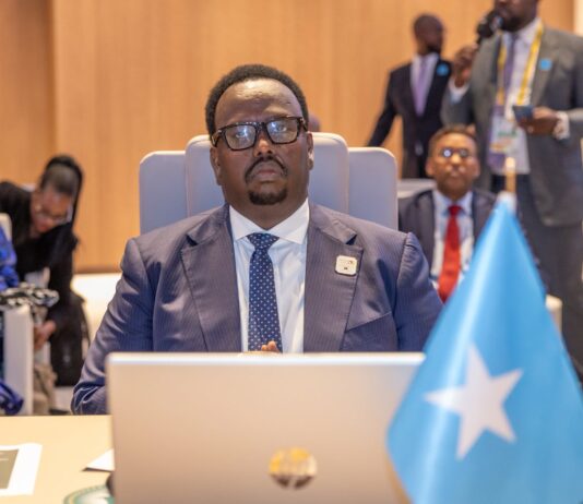 Somalia Deputy Prime Minister Attends African Union Summit on Conflict Prevention