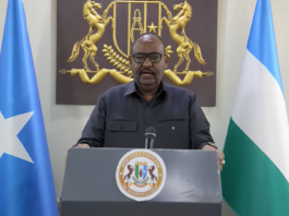 Deni accuses Somali federal government of backing rival forces after Galkayo clashes