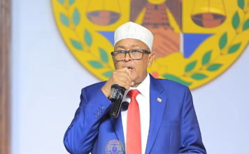 Cirro oo sheegay in Somaliland diyaar u tahay inay Gaza u dirto ilaa 2,000 askari
