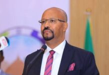 Ethiopian Ambassador Accuses Eritrea of Violating Ethiopia’s Sovereignty