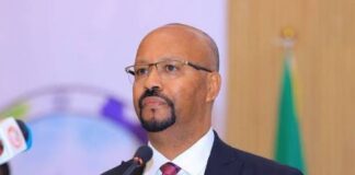 Ethiopian Ambassador Accuses Eritrea of Violating Ethiopia’s Sovereignty