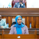 Somali minister urges parliament to advance family and children’s rights bills