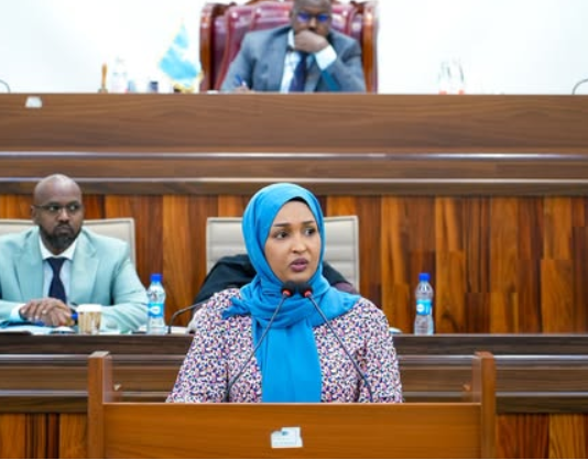 Somali minister urges parliament to advance family and children’s rights bills