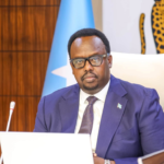 Somali Cabinet approves two agreements with Mauritania