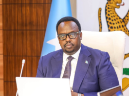 Golaha Wasiirrada Soomaaliya oo ansixiyey laba heshiis oo ay la gashay Mauritania