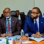 Somalia and Tanzania discuss public service reforms and government management