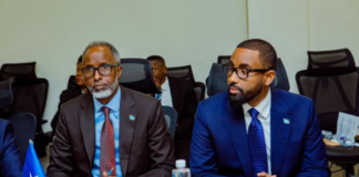 Somalia and Tanzania discuss public service reforms and government management