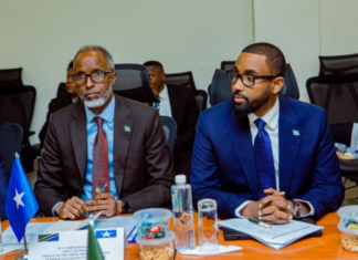 Somalia and Tanzania discuss public service reforms and government management