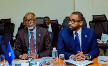 Soomaaliya iyo Tanzania oo ka wada hadlay dib-u-habaynta adeegga dadweynaha