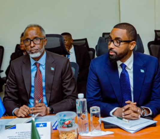 Soomaaliya iyo Tanzania oo ka wada hadlay dib-u-habaynta adeegga dadweynaha