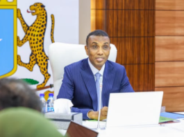 Somali PM chairs first meeting of national skills and jobs committee