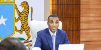 Somali PM chairs first meeting of national skills and jobs committee