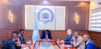 Soomaaliya iyo UNDP oo ka wada hadlay xoojinta adeegyada amniga iyo booliska