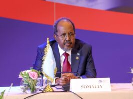 Somalia’s President Hassan Sheikh calls for global cooperation at Belgrade summit