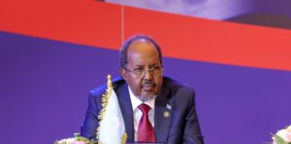 Somalia’s President Hassan Sheikh calls for global cooperation at Belgrade summit