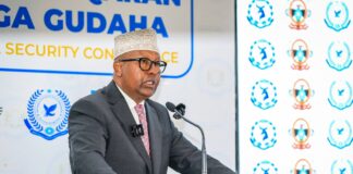 Somalia Defence Minister calls for Somali-led security system at Mogadishu conference