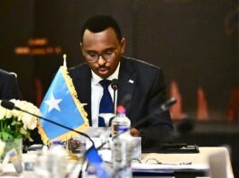 Somalia Auditor General Elected AFROSAI-A Alternate External Auditor