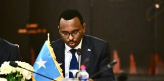 Somalia Auditor General Elected AFROSAI-A Alternate External Auditor