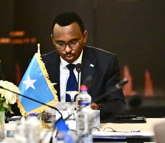 Somalia Auditor General Elected AFROSAI-A Alternate External Auditor