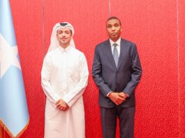 Somalia Seeks Qatari Investment in Fisheries, Energy and Transport