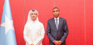 Somalia Seeks Qatari Investment in Fisheries, Energy and Transport