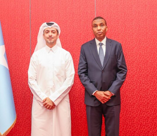 Somalia Seeks Qatari Investment in Fisheries, Energy and Transport