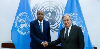 AU, UN chiefs discuss strengthening cooperation on Africa’s challenges