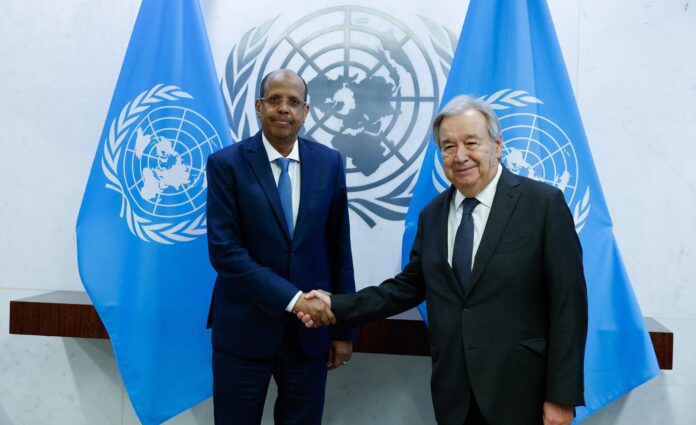 AU/UN