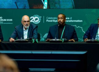 Somalia Participates in Africa Food Systems Forum in Rwanda