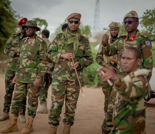 Somali army chief inspects damaged bridge in Baardheere amid flood fears