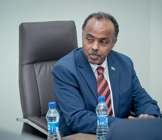 Soomaaliya iyo Spain oo ku heshiiyey in la bilaabo wada-tashiyo siyaasadeed oo rasmi ah
