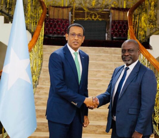 Danjiraha Soomaaliya ee Kenya oo Qaabilay Wakiilka WHO ee Soomaaliya