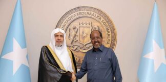 Somali president meets Muslim World League chief to discuss cooperation