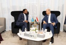 Soomaaliya iyo Masar oo ka wada hadlay xoojinta iskaashiga duulista iyo dib-u-soo-celinta Somali Airlines