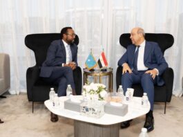 Soomaaliya iyo Masar oo ka wada hadlay xoojinta iskaashiga duulista iyo dib-u-soo-celinta Somali Airlines