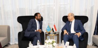 Soomaaliya iyo Masar oo ka wada hadlay xoojinta iskaashiga duulista iyo dib-u-soo-celinta Somali Airlines