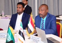 Somalia auditor general office attends ARABOSAI workshop in Tunis