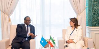 Somalia, Kuwait Discuss Cooperation to Combat Corruption