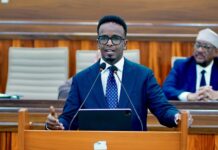 Somali parliament approves two members of constitutional review committee