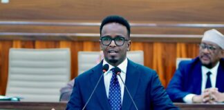 Somali parliament approves two members of constitutional review committee