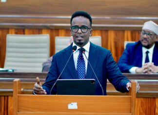 Somali parliament approves two members of constitutional review committee