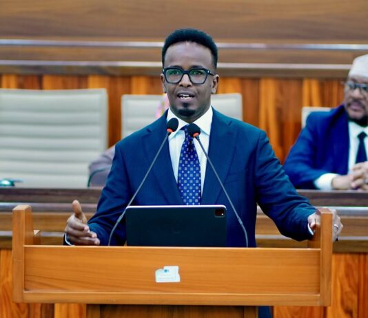 Somali parliament approves two members of constitutional review committee