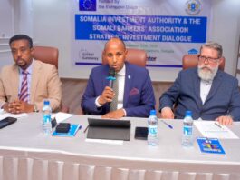 Somalia Holds Strategic Investment Forum to Boost Bank and Private Sector Cooperation