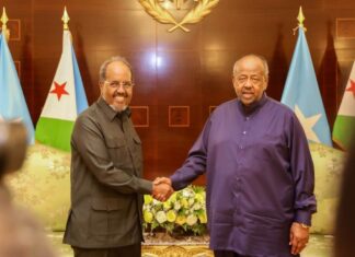 Somali, Djibouti presidents discuss security and regional stability