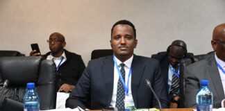 Somali Senate secretary-general attends African parliamentary officials’ meeting in South Africa