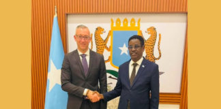 Soomaaliya iyo Jarmalka oo ka wada hadlay amniga iyo diyaar-garowga AUSSOM