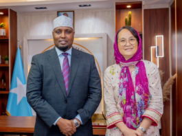 Somalia, UNHCR discuss stronger cooperation on national development priorities